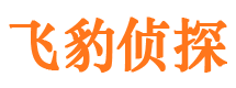 沙河口市场调查